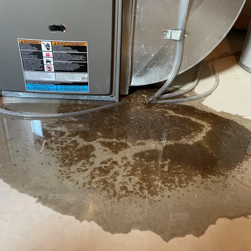 Appliance Leak Cleanup in Newton County, AR